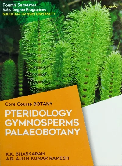 Petridology Gymnosperms PalaeoBotany  BSC Semester 4 ( core course botany )  M.G University