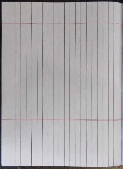 Carnet Single line Maths King size (24*18) 172 pages notebook