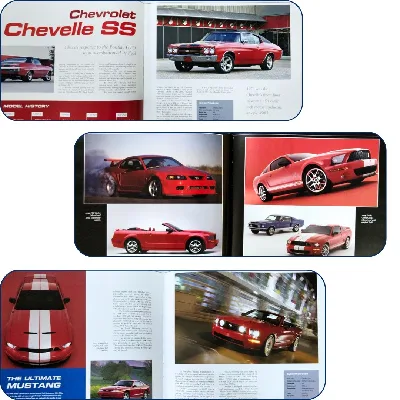 Muscle Cars | The Legend Lives On (Hardcover)