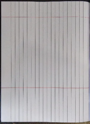 Carnet Single line Maths King size (24*18) 172 pages notebook
