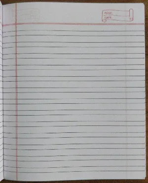 Carnet 2 line Gold Size (19*15.5) 172 pages notebook